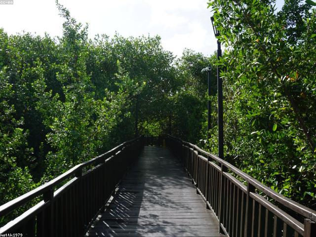 Palmas del Pacifico